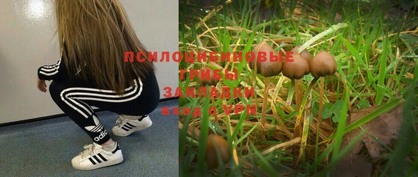 МДПВ Абинск