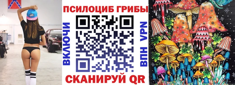 купить   гидра   Псилоцибиновые грибы Magic Shrooms  Фатеж 
